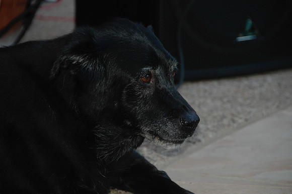 DSC_0004.JPG