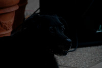 DSC_0005.JPG