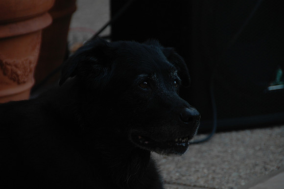 DSC_0005.JPG