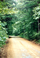 LOUISIANA BAYOU