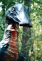 Prehistoric Forest