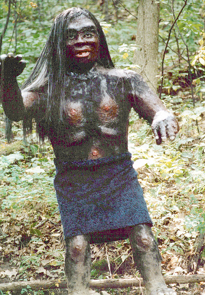 Prehistoric Forest