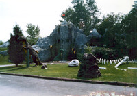 Prehistoric Forest