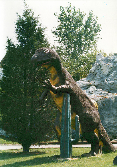 Prehistoric Forest