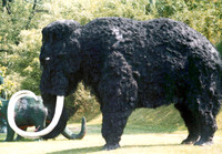 Prehistoric Forest