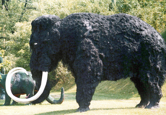Prehistoric Forest